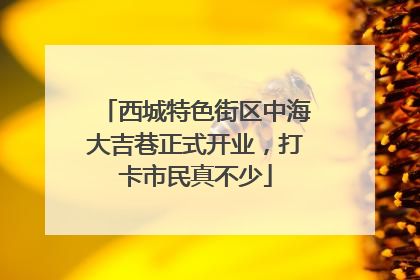 西城特色街区中海大吉巷正式开业，打卡市民真不少