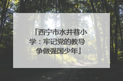 西宁市水井巷小学：牢记党的教导 争做强国少年