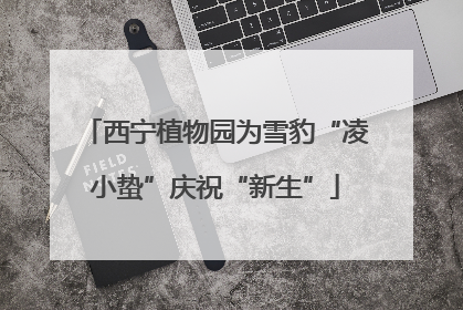 西宁植物园为雪豹“凌小蛰”庆祝“新生”