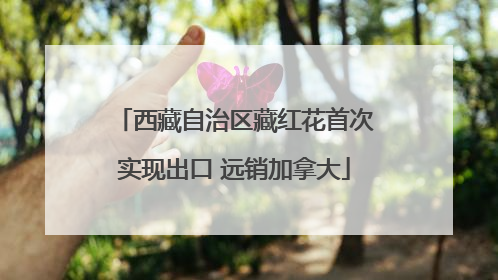 西藏自治区藏红花首次实现出口 远销加拿大