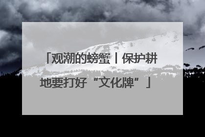 观潮的螃蟹丨保护耕地要打好“文化牌”