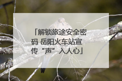 解锁旅途安全密码 岳阳火车站宣传“声”入人心