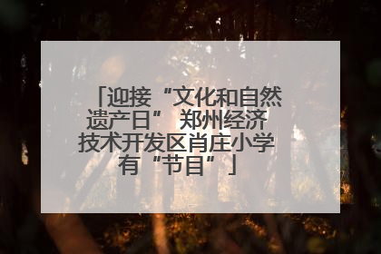 迎接“文化和自然遗产日” 郑州经济技术开发区肖庄小学有“节目”