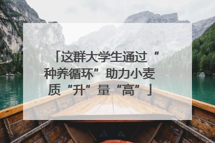 这群大学生通过“种养循环”助力小麦质“升”量“高”