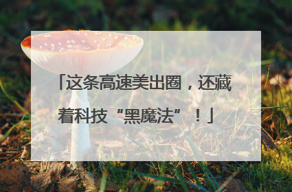 这条高速美出圈，还藏着科技“黑魔法”！