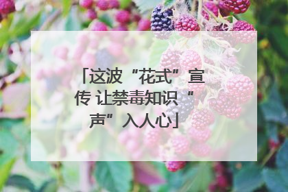 这波“花式”宣传 让禁毒知识“声”入人心