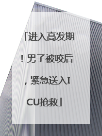 进入高发期！男子被咬后，紧急送入ICU抢救
