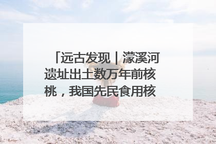 远古发现｜濛溪河遗址出土数万年前核桃，我国先民食用核桃历史大幅提前