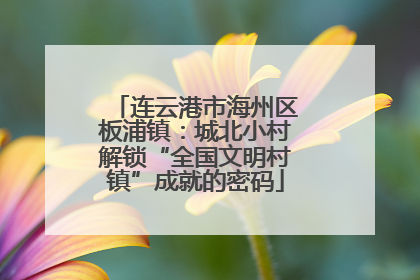连云港市海州区板浦镇：城北小村解锁“全国文明村镇”成就的密码