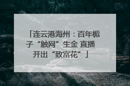 连云港海州：百年栀子“触网”生金 直播开出“致富花”