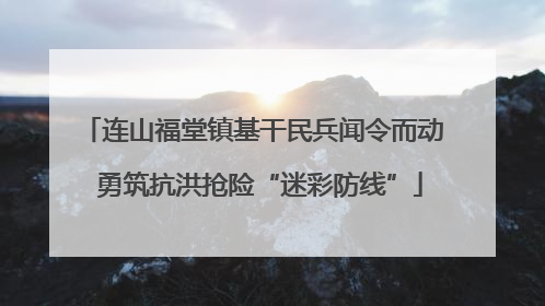 连山福堂镇基干民兵闻令而动  勇筑抗洪抢险“迷彩防线”