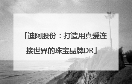 迪阿股份：打造用真爱连接世界的珠宝品牌DR