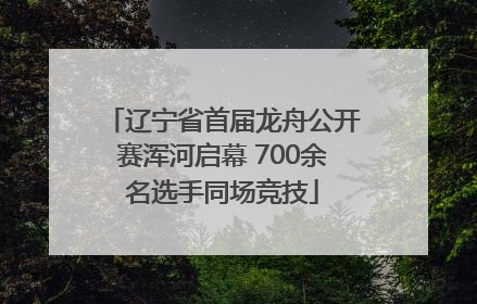 辽宁省首届龙舟公开赛浑河启幕 700余名选手同场竞技