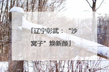 辽宁彰武：“沙窝子”焕新颜