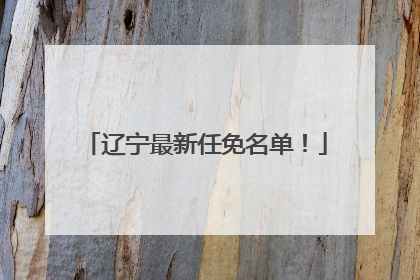 辽宁最新任免名单！