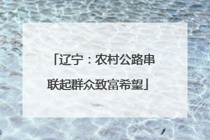 辽宁：农村公路串联起群众致富希望