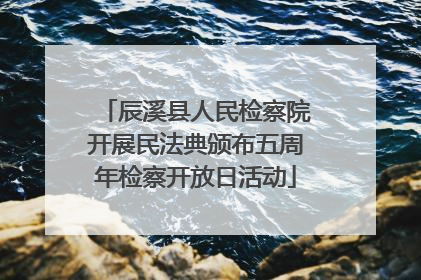 辰溪县人民检察院开展民法典颁布五周年检察开放日活动