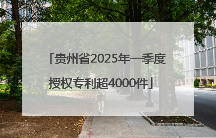 贵州省2025年一季度授权专利超4000件