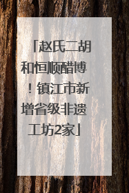 赵氏二胡和恒顺醋博！镇江市新增省级非遗工坊2家