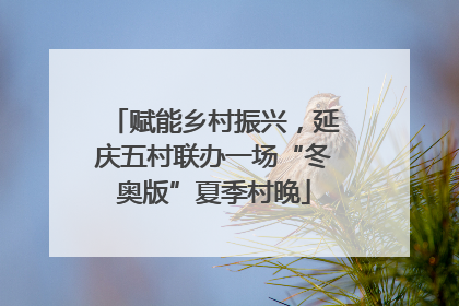 赋能乡村振兴，延庆五村联办一场“冬奥版”夏季村晚