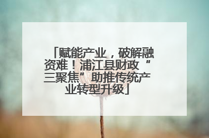 赋能产业，破解融资难！浦江县财政“三聚焦”助推传统产业转型升级