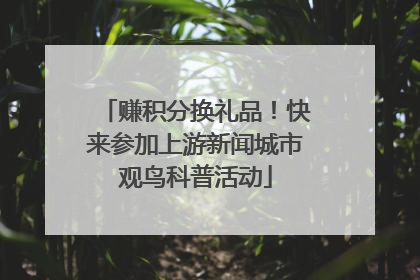 赚积分换礼品！快来参加上游新闻城市观鸟科普活动