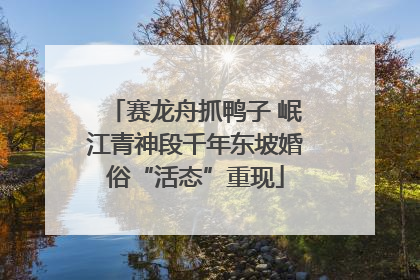 赛龙舟抓鸭子 岷江青神段千年东坡婚俗“活态”重现