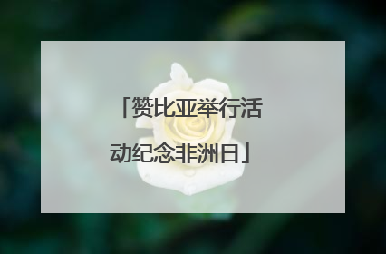 赞比亚举行活动纪念非洲日