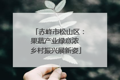 赤峰市松山区：果蔬产业绿意浓 乡村振兴展新姿