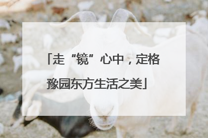 走“镜”心中，定格豫园东方生活之美