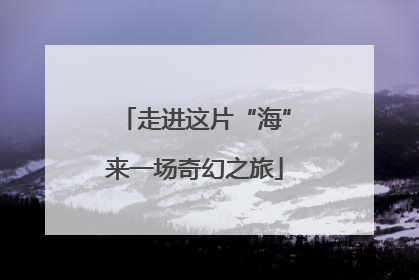 走进这片“海”来一场奇幻之旅