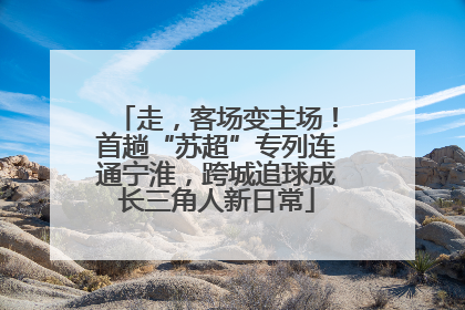 走，客场变主场！首趟“苏超”专列连通宁淮，跨城追球成长三角人新日常