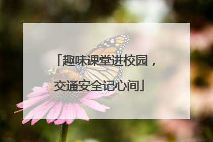 趣味课堂进校园，交通安全记心间