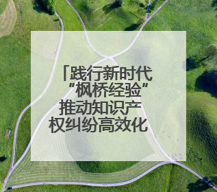 践行新时代“枫桥经验” 推动知识产权纠纷高效化解