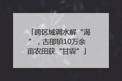 跨区域调水解“渴”，古邵镇10万余亩农田获“甘霖”