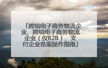 跨境电子商务物流企业、跨境电子商务物流企业（仅B2B）、支付企业备案操作指南