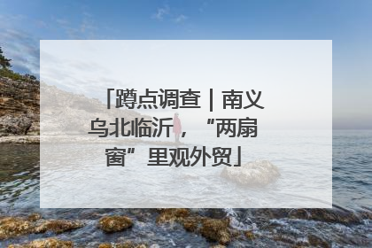 蹲点调查｜南义乌北临沂，“两扇窗”里观外贸