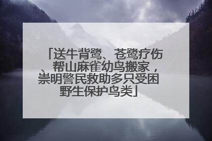 送牛背鹭、苍鹭疗伤、帮山麻雀幼鸟搬家，崇明警民救助多只受困野生保护鸟类