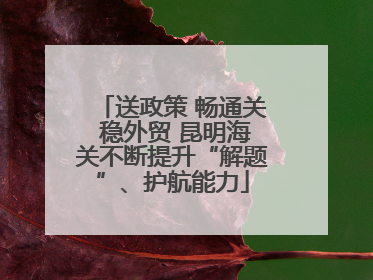 送政策 畅通关 稳外贸 昆明海关不断提升“解题”、护航能力