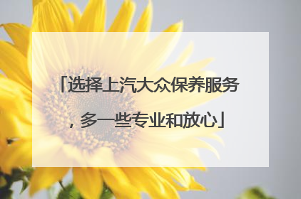 选择上汽大众保养服务，多一些专业和放心
