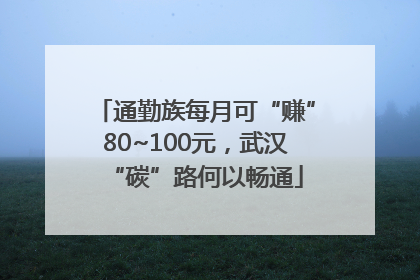 通勤族每月可“赚”80~100元，武汉“碳”路何以畅通