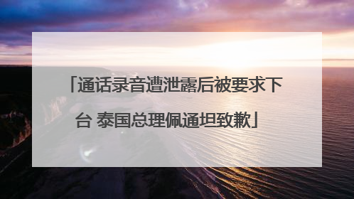 通话录音遭泄露后被要求下台 泰国总理佩通坦致歉