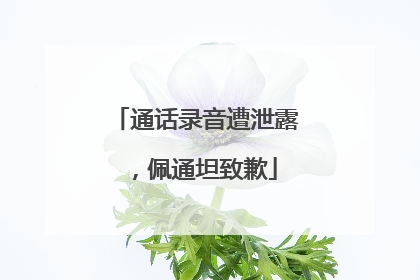 通话录音遭泄露，佩通坦致歉