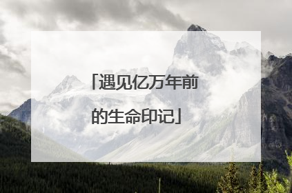遇见亿万年前的生命印记