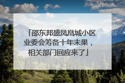 邵东邦盛凤凰城小区业委会筹备十年未果，相关部门回应来了