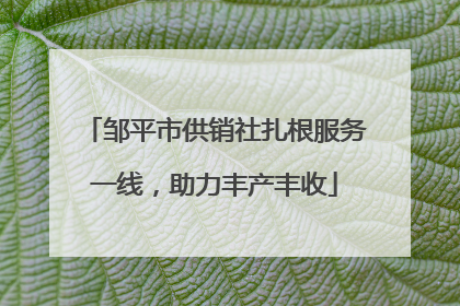 邹平市供销社扎根服务一线，助力丰产丰收