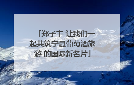 郑子丰 让我们一起共筑宁夏葡萄酒旅游 的国际新名片