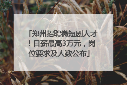 郑州招聘微短剧人才！日薪最高3万元，岗位要求及人数公布