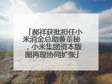 郝祥获批担任小米消金总助兼董秘，小米集团资本版图再现协同扩张