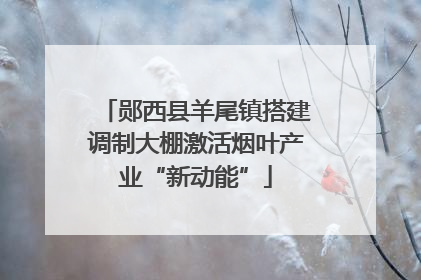 郧西县羊尾镇搭建调制大棚激活烟叶产业“新动能”